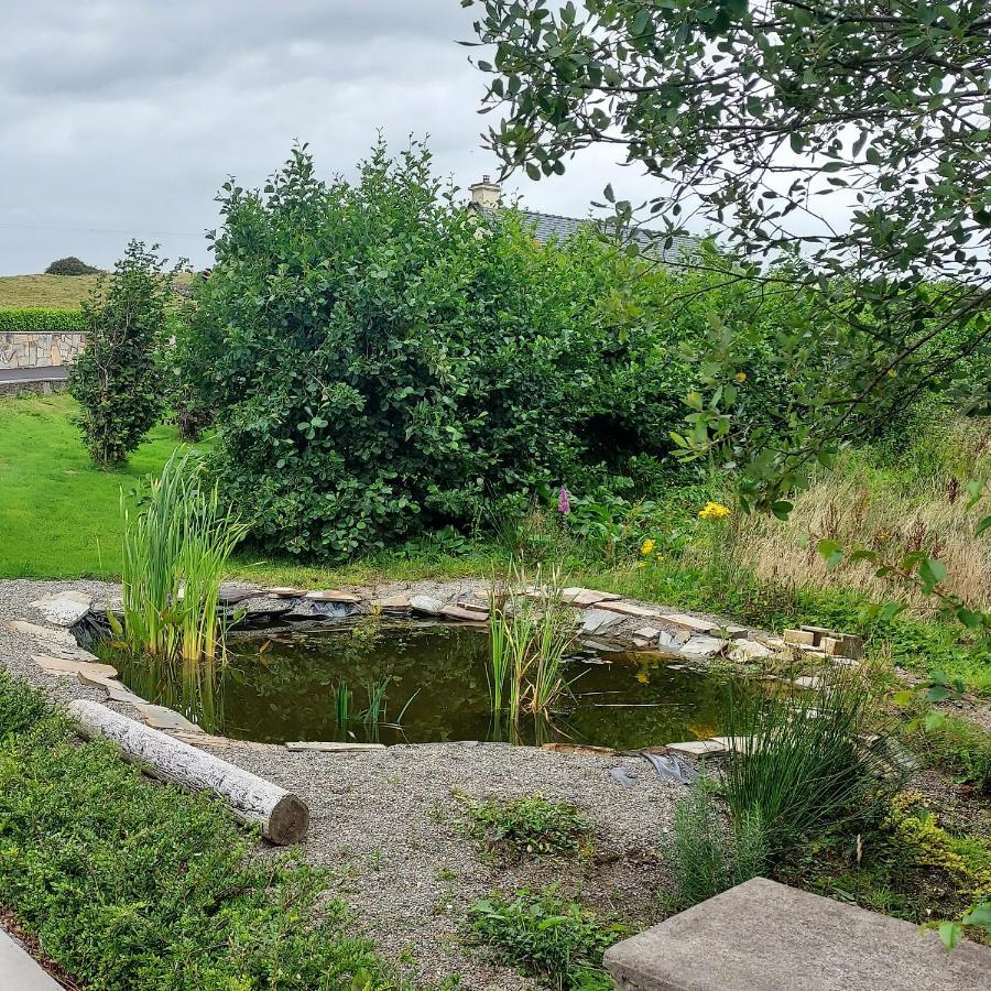 Ros Na Gcloch Bed and Breakfast Westport Exteriör bild